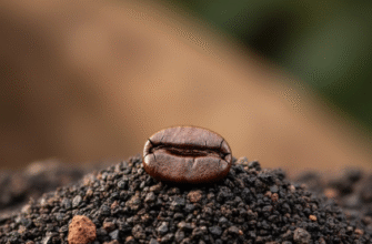 The Worlds Best Coffee from Volcanic Soil